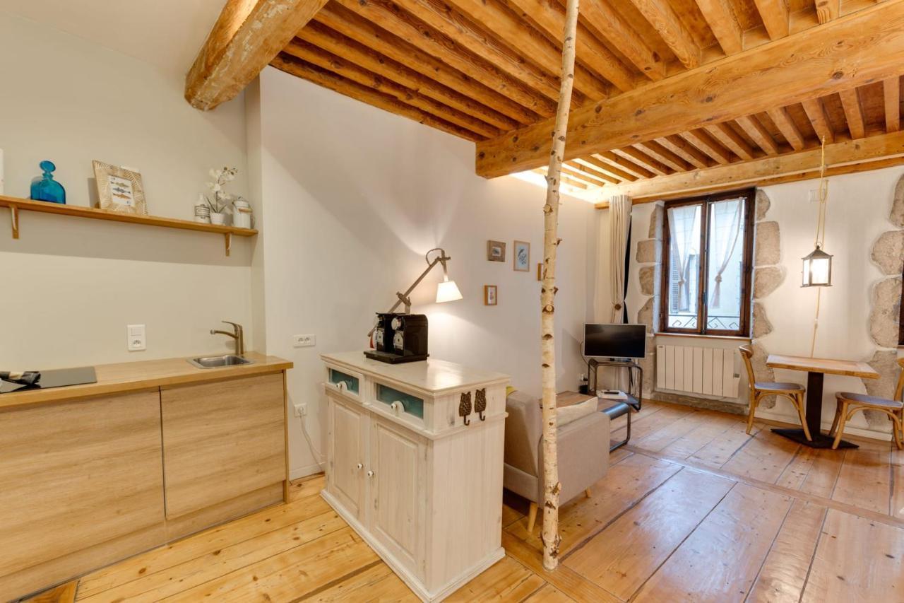 La Cour Filaterie - Suite Of 30 Sq M In The Annecy Breakfast Included מראה חיצוני תמונה